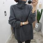 Turtle Neck Ribbed Sweater