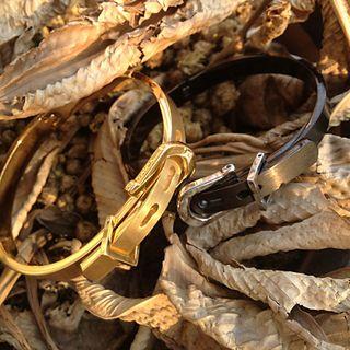 Stainless Steel Belt Bangle