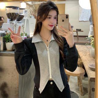 Collar Zip-up Jacket