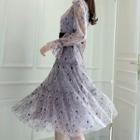 Contrast-trim Sheer-sleeve Lace Dress