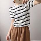 Skull Embroided Striped Short-sleeve Knit Top