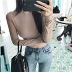 Plain Round-neck Long-sleeve Slim-fit Top