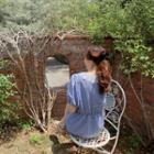 Lace-collar Gathered-waist Gingham Top