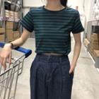 Cropped Stripe Short-sleeve T-shirt Top - Stripe - Green - One Size