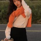 Long-sleeve Round-neck Plain T-shirt White - One Size