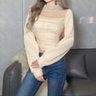 Long-sleeve Mock-neck Mesh Fitted Top