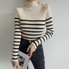 Turtle-neck Stripe Ribbed-knit Top