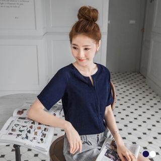 Central Pleated Raglan Blouse