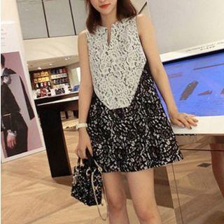 Two Tone Sleeveless Lace A-line Dress