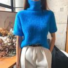 Turtleneck Short-sleeve Furry Sweater
