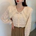Collared Ruffled Dotted Blouse