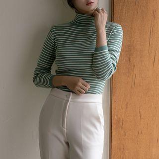 Turtle-neck Slim Stripe Knit Top