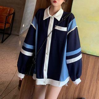 Color Panel Collared Buttoned Pullover