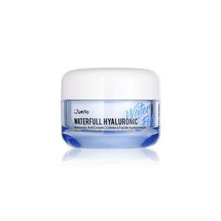 Yesstyle Gift - Free Gift - Waterfull Hyaluronic Cream 50ml