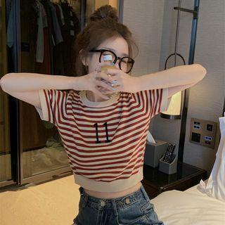 Short-sleeve Striped Knit Cropped Top T-shirt - One Size