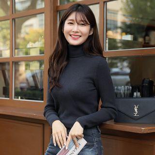 Turtle-neck Wool Blend Slim Knit Top