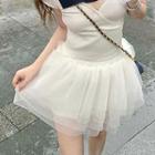 High Waist Mesh Layered Mini Skirt