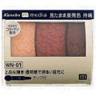 Kanebo - Media Grade Color Eyeshadow (#wn-01) 3.5g