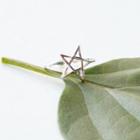 Sterling Silver Star Open Ring 1pc - Silver - One Size