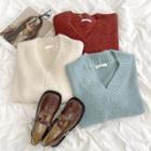 Long-sleeve Plain V-neck  Knit Sweater