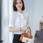 Short-sleeve Blouse / Dress Pants / Skirt