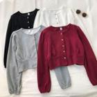 Plain Crewneck Single-breasted Long-sleeve Sweatshirt