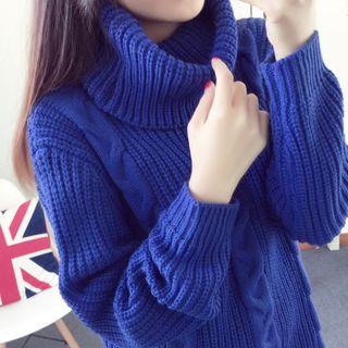 Plain Turtleneck Cable-knit Long Sweater