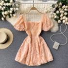 Square-neck Embroidered Puff-sleeve Dress