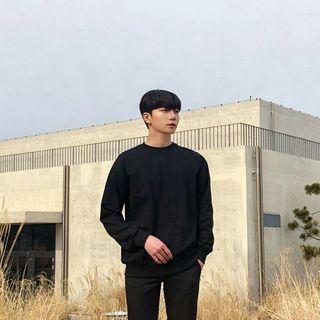 Plain Sweatshirt In 12 Colors