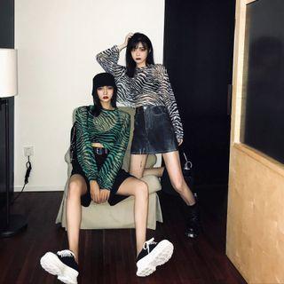 Long-sleeve Zebra Print Mesh T-shirt