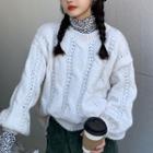 Long-sleeve Leopard Print Mock-neck Top / Cable Knit Sweater