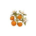 Fashion And Elegant Enamel Orange Flower Brooch With Imitation Pearls Silver - One Size