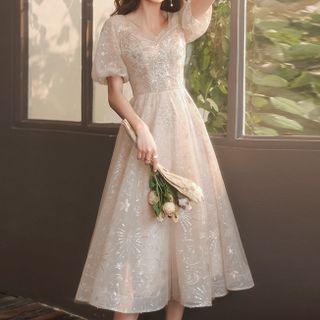Sheer Panel A-line Cocktail Dress