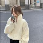Turtle-neck Knit Zip Jacket White - One Size