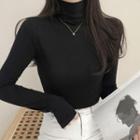 Plain Skinny Turtleneck Long Sleeve Top