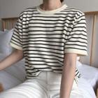 Short-sleeve Striped Knit Top Stripe - Black & White - One Size