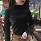 Embroidered Velvet Mock Neck Long-sleeve Top