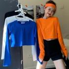 Long-sleeve Crop T-shirt In 4 Colors