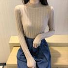 Long-sleeve Knit Plain Turtleneck Top