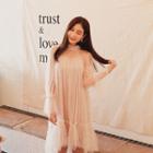 Sheer-yoke Tulle A-line Dress