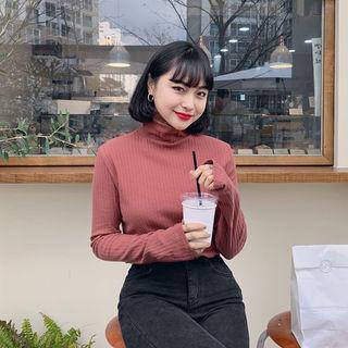 Turtleneck Ribbed Colored Top