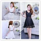 Fishnet Sleeveless A-line Dress