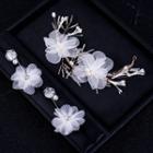 Set: Wedding Flower Head Piece + Earring Fd817 - Set - White - One Size