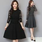 Long-sleeve A-line Lace Panel Dress