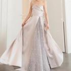 Mesh Panel A-line Tube Gown
