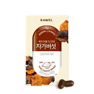 Kbh - Rawel Chaga Extract Powder 30 Tablets