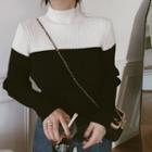 Two Tone Mock-neck Sweater