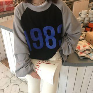 Number Print Raglan Sleeve Pullover
