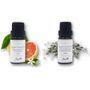 Aster Aroma - Organic Essential Oil 10ml - 2 Types