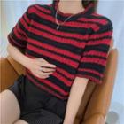 Striped Sweater / Short-sleeve Knit Top